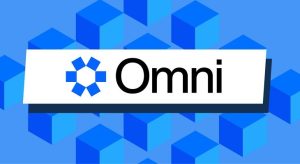 تصویری از شبکه اومنی ( OMNI Network) چیست؟