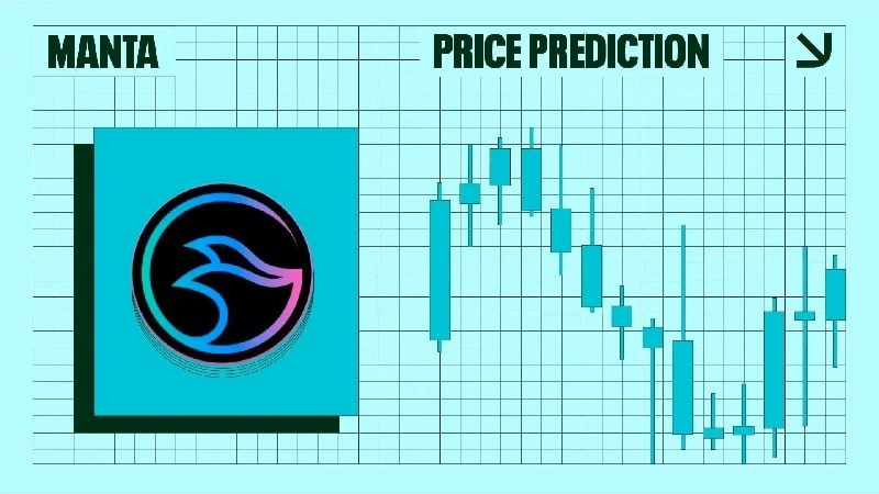 شبکه منتا چیست