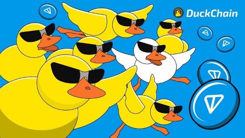 تصویری از ویژگیهای کلیدی داک چین (Duck Chain)