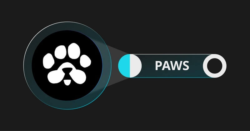 تصویری از معرفی ایردراپ PAWS