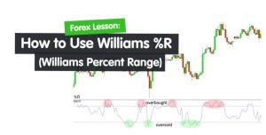 تصویری از نوسانگر ویلیامز %R در مقابل شاخص قدرت نسبی (RSI)