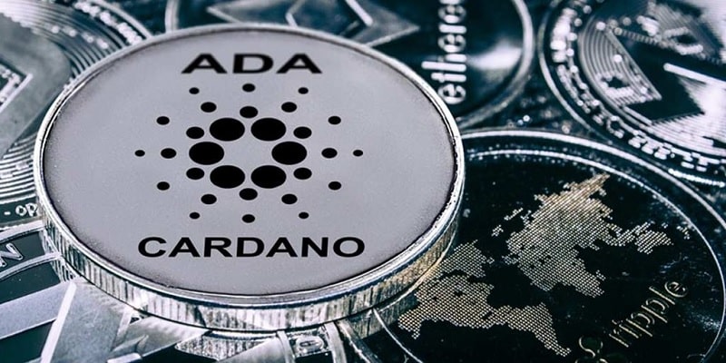 تصویری از کاردانو (Cardano)
