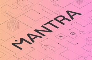 تصویری از Mantra دلایل سقوط ارز مانترا