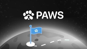 تصویری از ایردراپ PAWS چیست؟