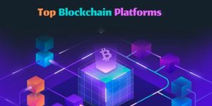 تصوییری از پرکاربردترین و بهترین بلاک چین‌ها