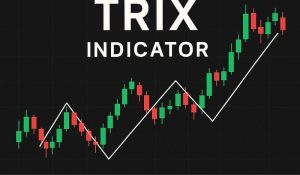 تصویری از اندیکاتور TRIX تریکس چیست؟