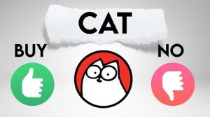 تصویری از ارز سیمونز کت (CAT) چیست؟