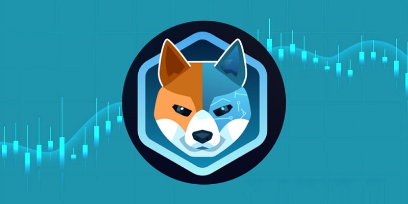تصویری از ارز Aidoge چیست؟
