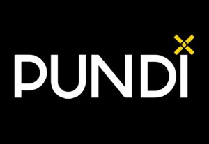 تصویری از ارز دیجیتال PUNDIX چیست؟