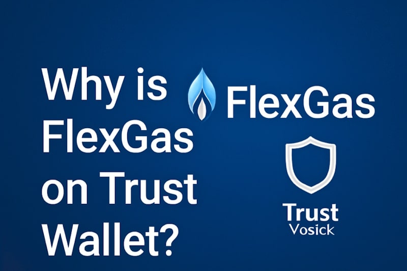 تصیری از چرا باید از استراتژی FlexGas در تراست ولت استفاده کنیم؟
