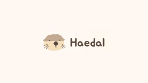 تصویری از ارز دیجیتال هیدال پروتکل (HAEDAL) چیست