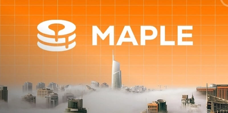 تصویری از مزایا و معایب ارز دیجیتال سیروپ