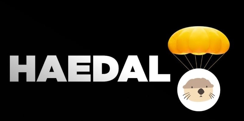 تصویری از مزایا و معایب ارز هیدال پروتکل HAEDAL