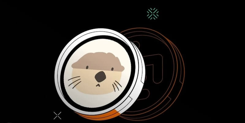 تصویری از کارکرد هیدال پروتکل