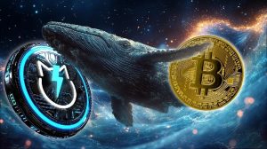 حمله خرس چیست