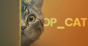 کد OP_CAT چیست؟