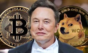 ایلان ماسک و لوگوی دو ارز شیبا و بیت کوین